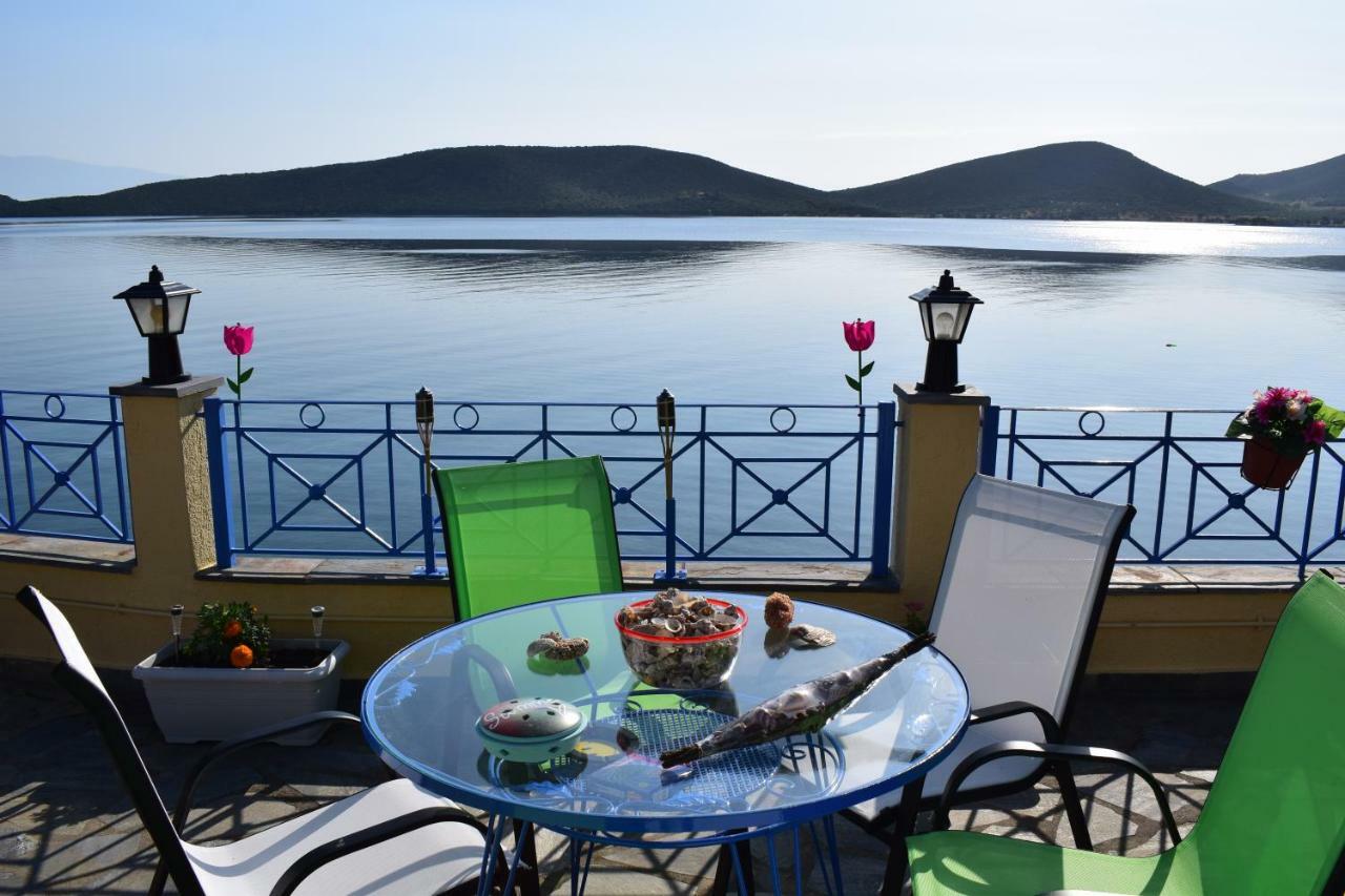 Dimitris Constantinou Villa Sourpi ภายนอก รูปภาพ