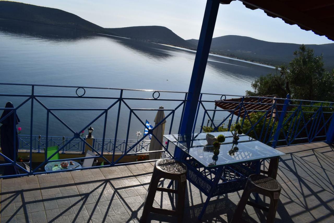 Dimitris Constantinou Villa Sourpi ภายนอก รูปภาพ